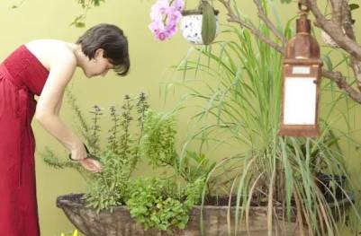 Horta em casa: Como fazer e cultivar